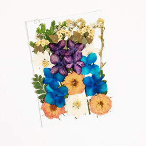 Face Flowers in different colors.