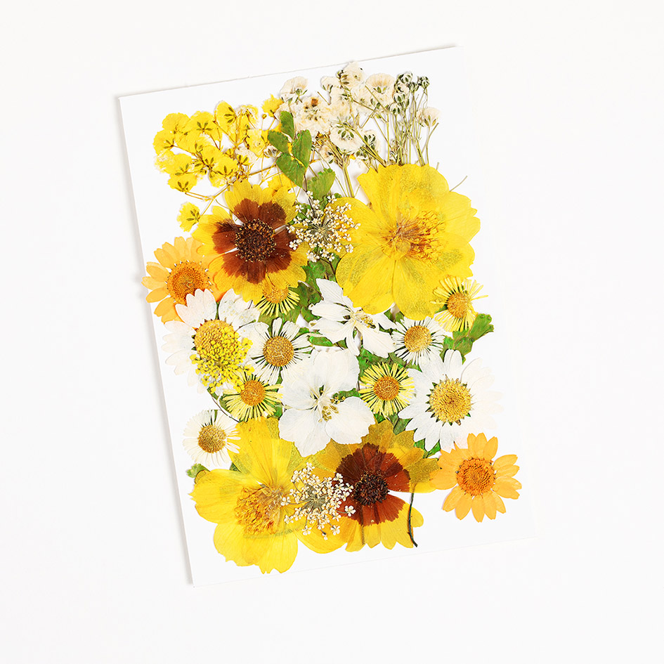 Face Flowers in yellow.