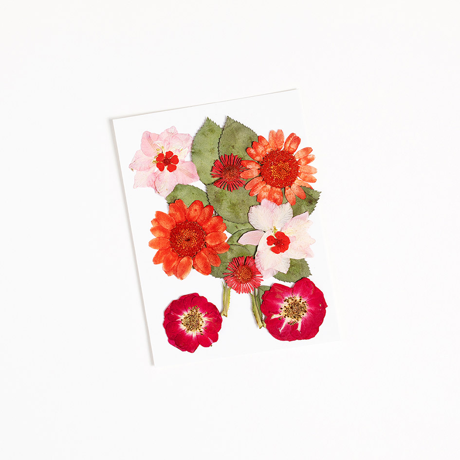 Face Flowers in red.