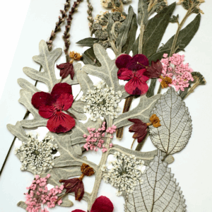 Kasvokukat kukkameikkiin