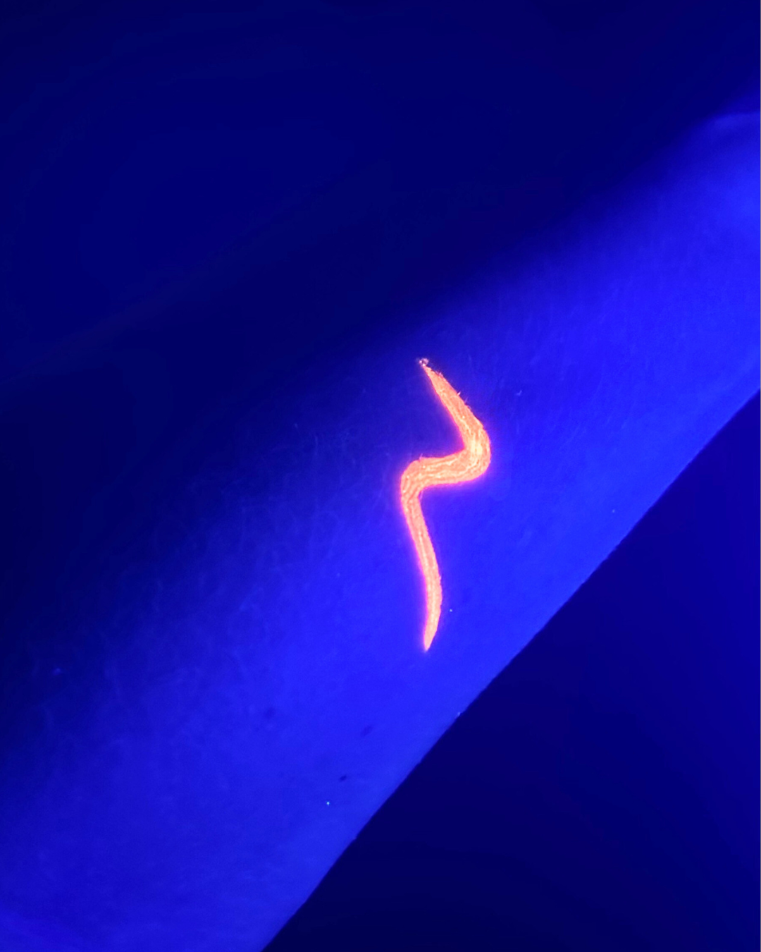 UV Neon eyeliner - orange - Image 5